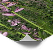 Woodland Fairy Poster (Hoek)