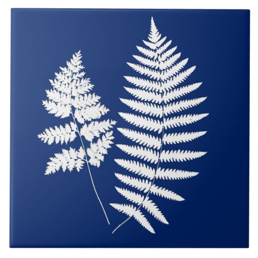 Woodland Fern, Cobalt Blue en White Tegeltje (Voorkant)