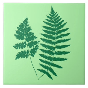 Woodland Fern, Emerald en Light Green Tegeltje