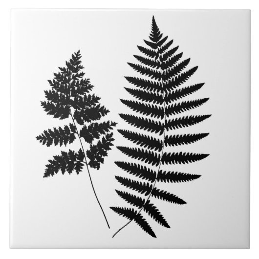 Woodland Fern, zwart en wit Tegeltje (Voorkant)