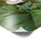 Woodland Flora Botanical Foto Afdruk (Hoek)