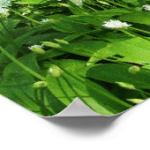 Woodland Flowers Poster (Hoek)