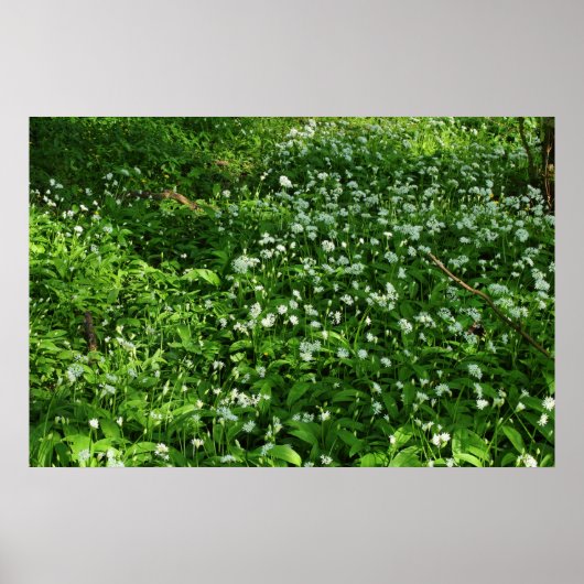 Woodland Flowers Poster (Voorkant)