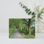 Woodland Footpath op het eiland Bute in Schotland  Feestdagenkaart (Staand voorkant)
