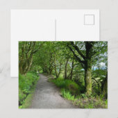 Woodland Footpath op het eiland Bute in Schotland  Feestdagenkaart (Voorkant / Achterkant)