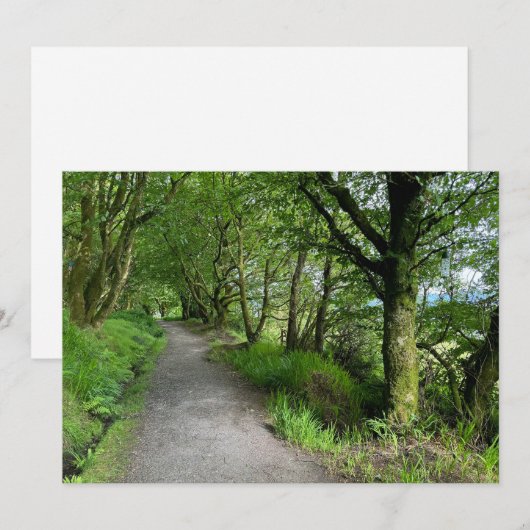 Woodland Footpath op het eiland Bute in Schotland  Feestdagenkaart (Voorkant / Achterkant)