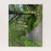 Woodland Footpath op het eiland Bute in Schotland  Legpuzzel (Verticaal)