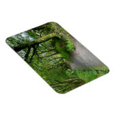 Woodland Footpath op het eiland Bute in Schotland Magneet (Rechterzijde)