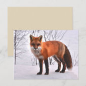 Woodland Fox briefkaart (Voorkant / Achterkant)