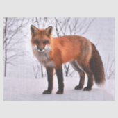 woodland fox tissue paper tissuepapier (Voorkant)