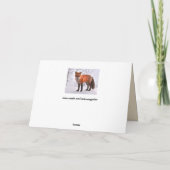 Woodland Fox-wenskaart Kaart (Achterkant)