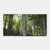 Woodland Glade Dappled in zonlicht op een Bureaumat (Voorkant)