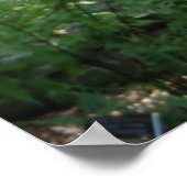 Woodland Glade Sitting area Poster (Hoek)