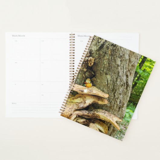 Woodland Gnome in het Mushroom Tree House Planner (Display)