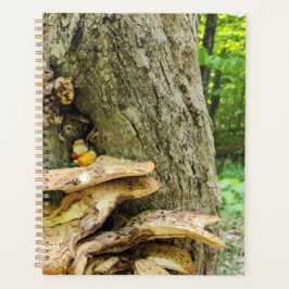 Woodland Gnome in het Mushroom Tree House Planner