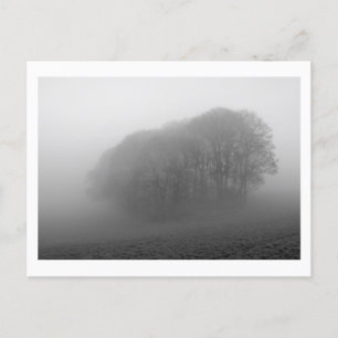 Woodland in the Mist: Cheshire, Engeland Briefkaart