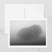 Woodland in the Mist: Cheshire, Engeland Briefkaart (Voorkant / Achterkant)