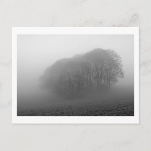 Woodland in the Mist: Cheshire, Engeland Briefkaart (Voorkant)