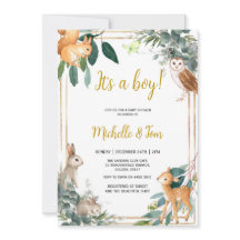 Woodland It's a boy Baby Shower 