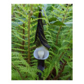 Woodland Jack-in-the-Pulpit Floral Perfect Poster (Voorkant)