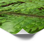 Woodland Jack-in-the-Pulpit Floral Perfect Poster (Hoek)