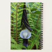 Woodland Jack-in-the-Pulpit Plant Notitieboek (Achterkant)