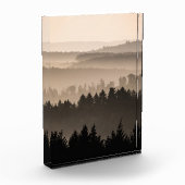 Woodland Landscape Foto (Links)