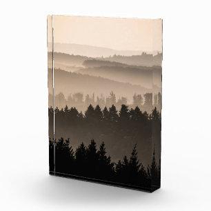 Woodland Landscape Foto
