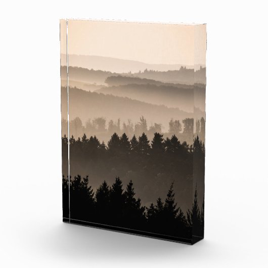 Woodland Landscape Foto (Rechts)