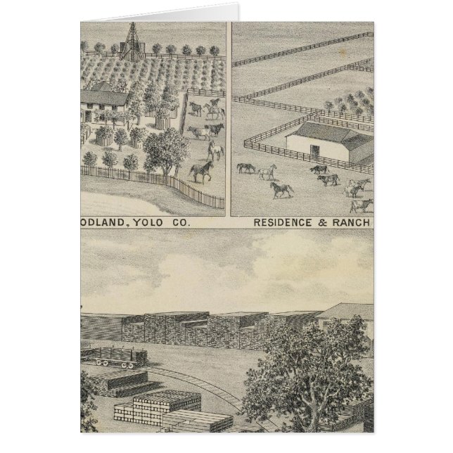 Woodland lumber company (Voorkant)