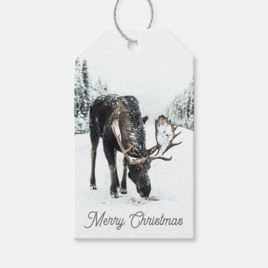Woodland Moose in Winter Snow Gift Labels Cadeaulabel (Voorkant)