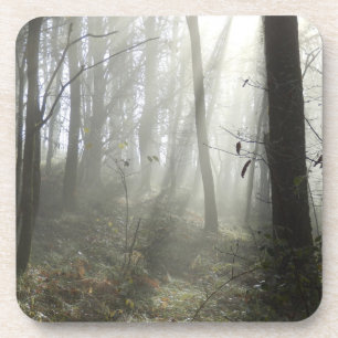 Woodland Morning Mist Hard Plastic Onderzetters