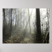 Woodland Morning Mist Poster (Voorkant)