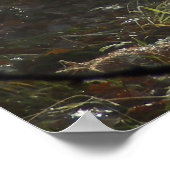 Woodland Morning Mist Poster (Hoek)