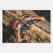 Woodland Moth Inpakpapier Vel (Voorkant)