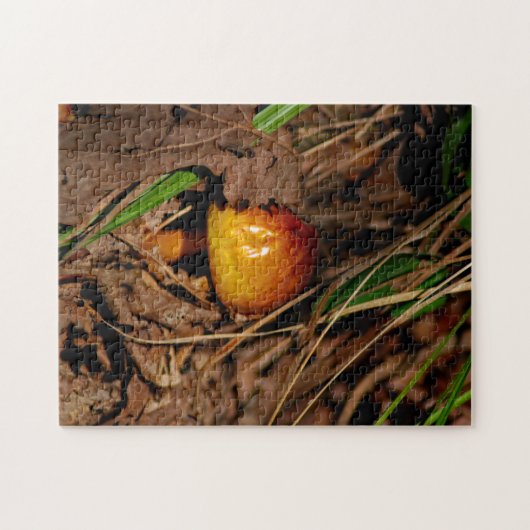 Woodland Mushroom Legpuzzel (Horizontaal)