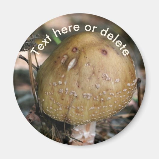 Woodland Mushroom Nature Personalized Magneet (Voorkant)