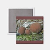 Woodland Mushrooms Coördinerende items Magneet (Voorkant / Achterkant)