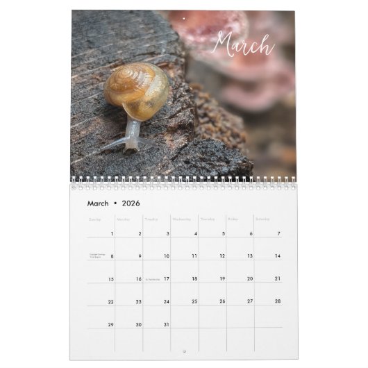 Woodland Mushrooms - Natuur Kalender 2026 (Mar 2026)