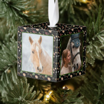 Woodland Natuur Pine Horse Pet 4 Foto