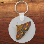 Woodland Oranje Moth Sleutelhanger (Voorkant)