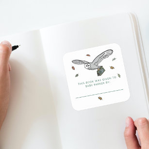 Woodland Owl Storybook Baby Bookplates Vierkante Sticker
