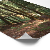 Woodland Paradise Poster (Hoek)