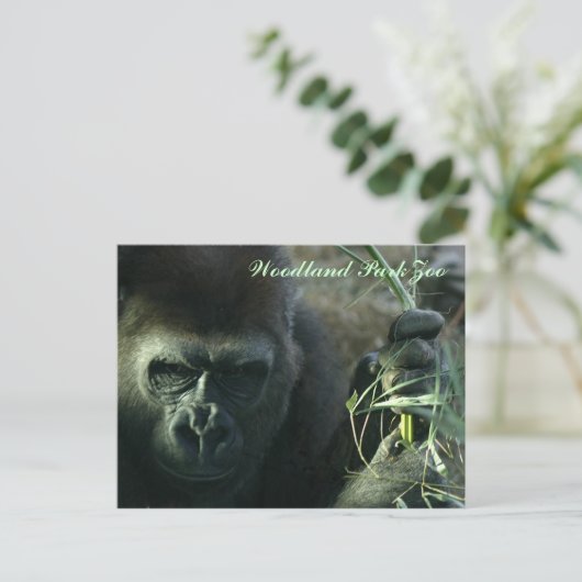 Woodland Park Zoo Gorilla Briefkaart (Staand voorkant)