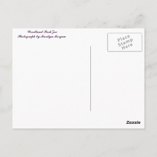 Woodland Park Zoo Gorilla Briefkaart (Achterkant)