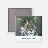 Woodland Park Zoo Kattenmagneet Magneet (Voorkant / Achterkant)