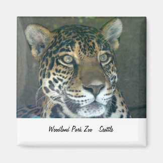 Woodland Park Zoo Kattenmagneet Magneet