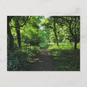 Woodland Path. Blackweir Bossen, Cardiff, Wales. Briefkaart