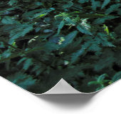 Woodland Path. Blackweir Bossen, Cardiff, Wales. Poster (Hoek)