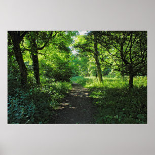 Woodland Path. Blackweir Bossen, Cardiff, Wales. Poster